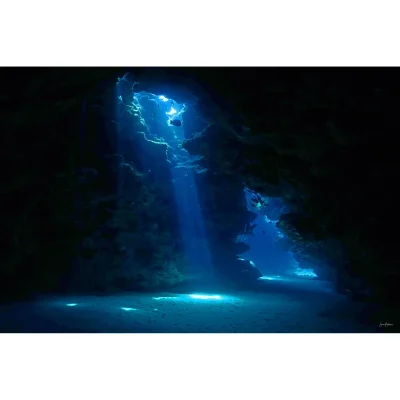Into The Blue
