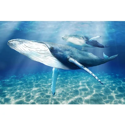 Whale Art ~ Limited Edition Print