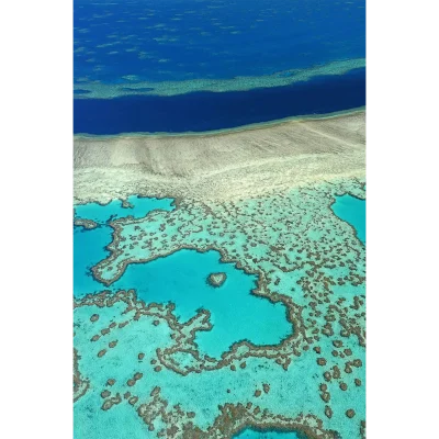 Reef 'n River