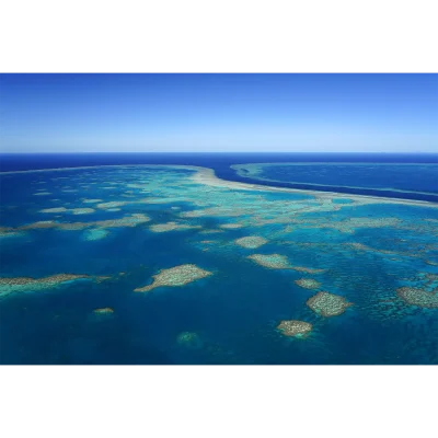 Reef World