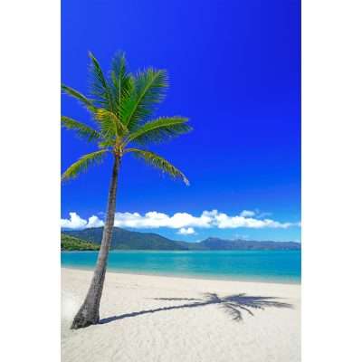 Paradise Shadow ~Hayman Island